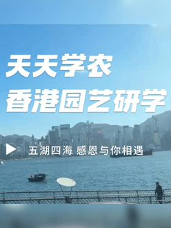 与香港园艺学会联合举办香港园艺研学，专业园境师带队讲解。