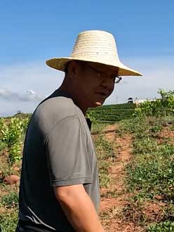 农业人叶涛，50多岁通讯人跨界搞农业，他要用1000万打造一个梦。